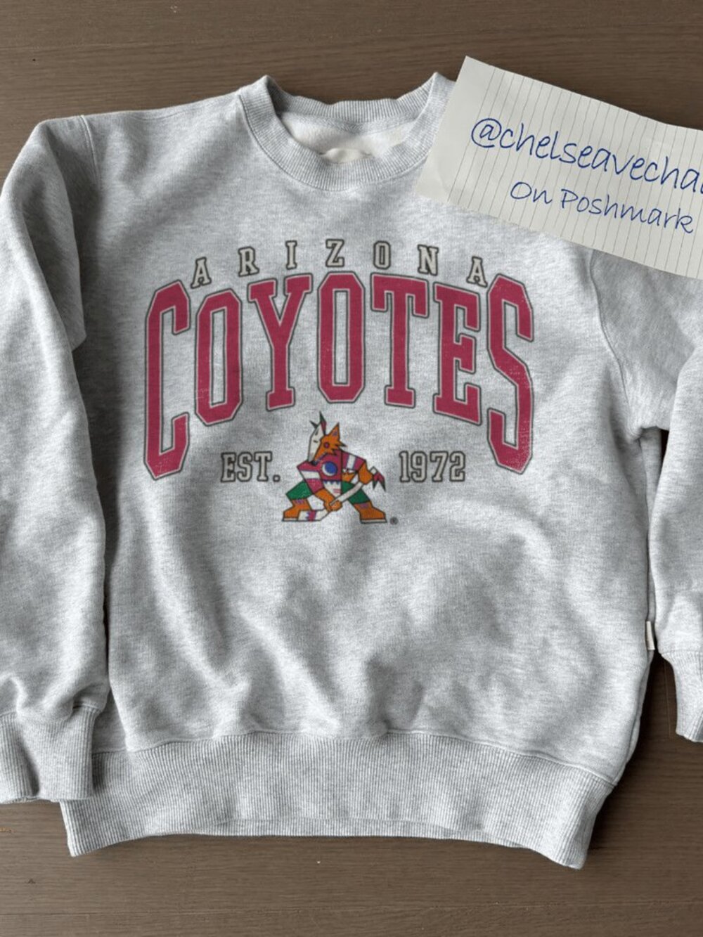 Vintage Arizona Coyotes NHL Crewneck Sweatshirt, Retro Coyotes Hockey Shirt Tee